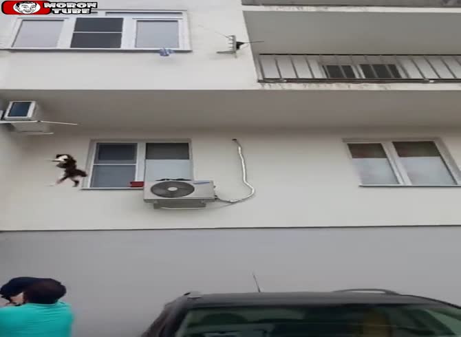 Video :Russian man saves cat falling from second floor